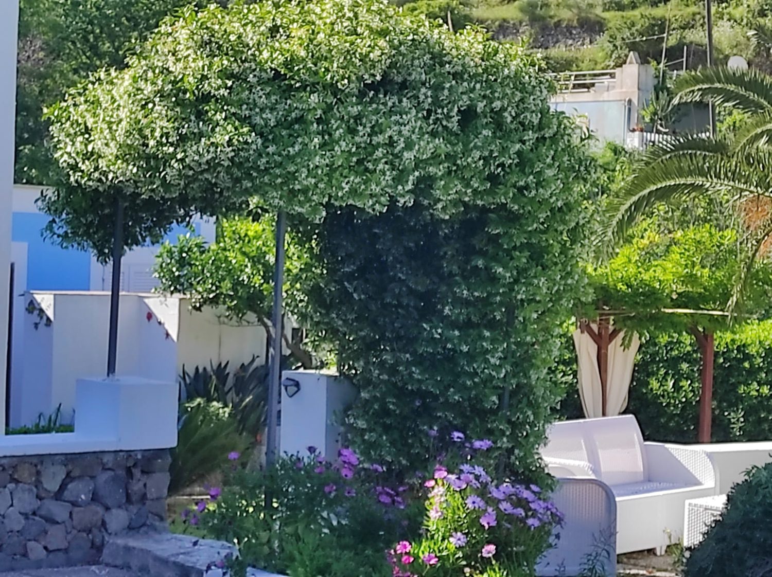 Arco verde e divani bianchi