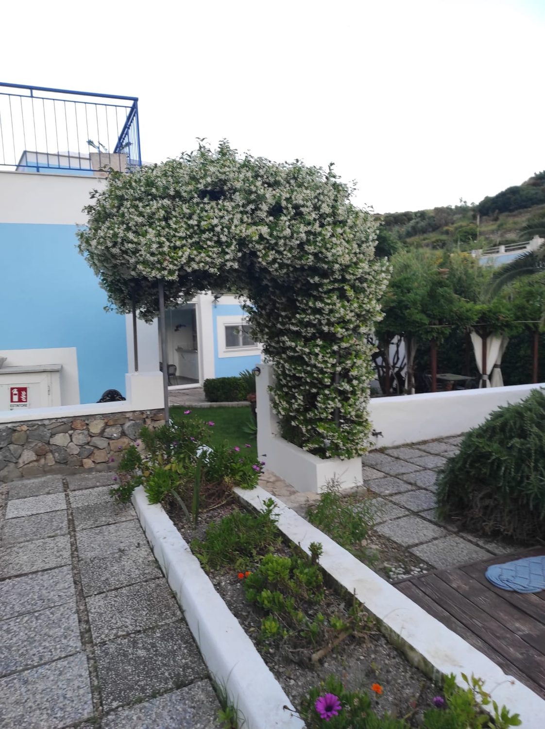 Arco di verde nel giardino
