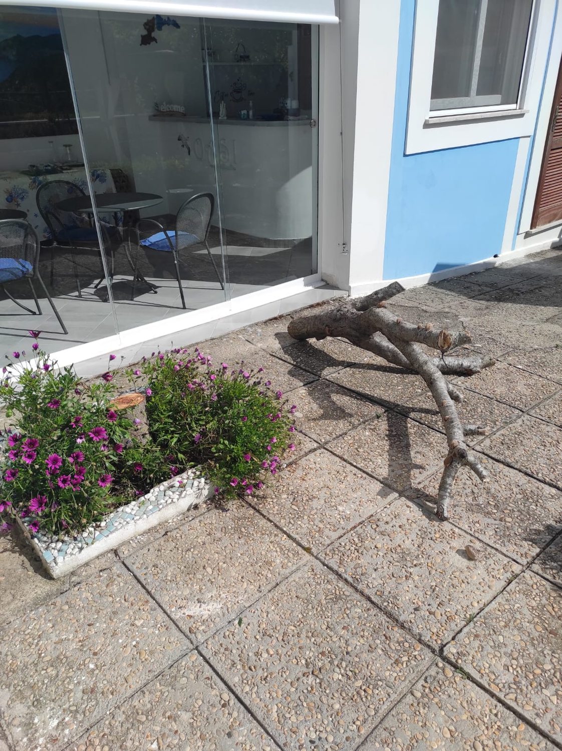 Patio con legno di mare e fiori