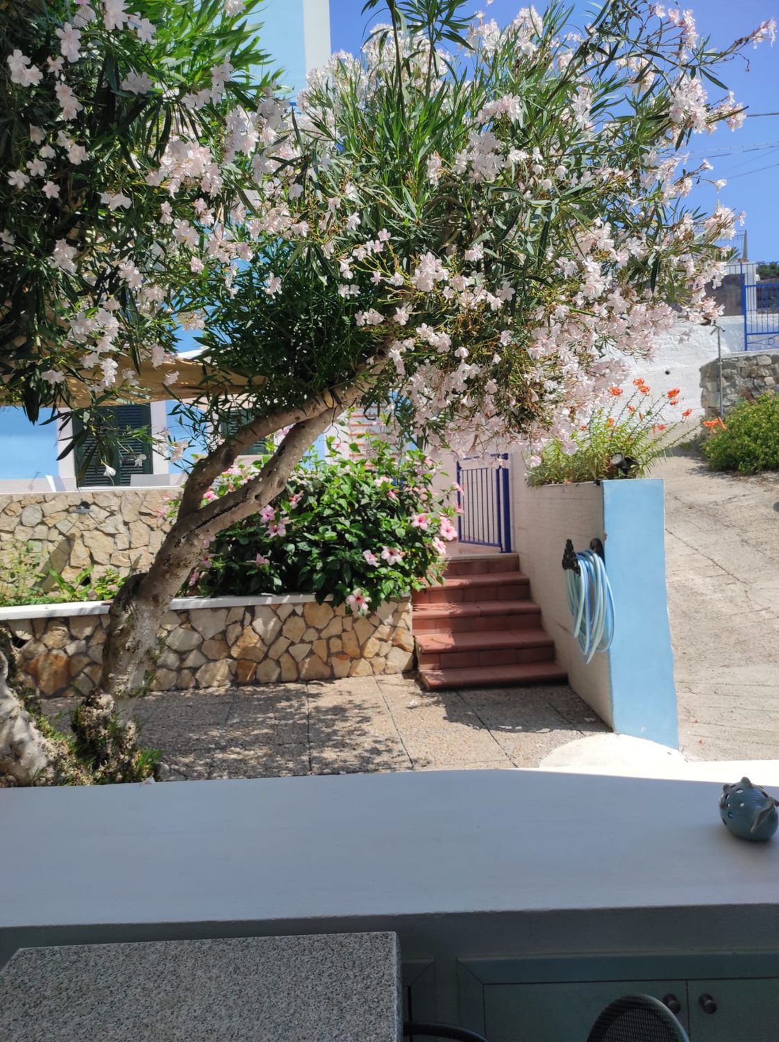 Scalinata e parete blu