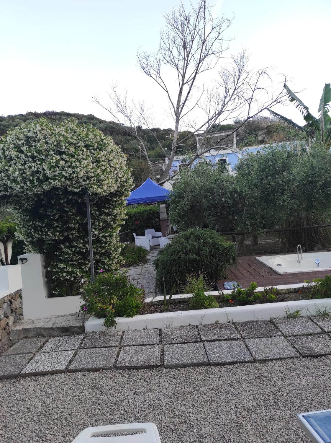 Topiaria e gazebo