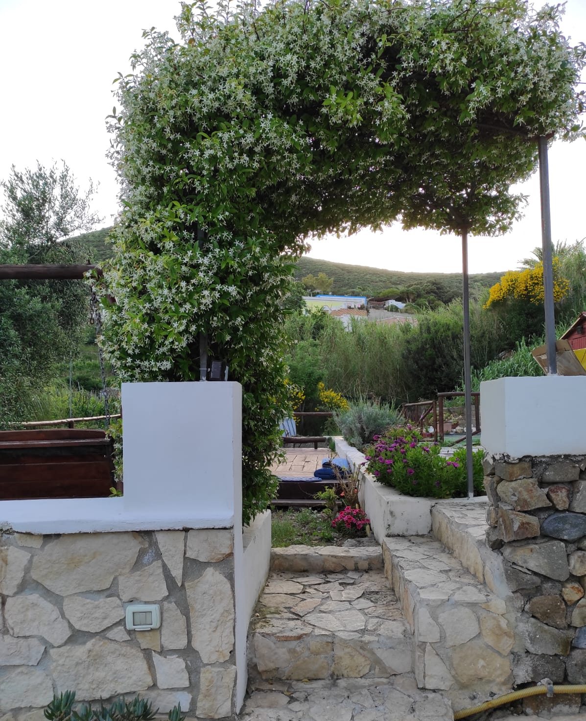 Topiaria e muretto in pietra
